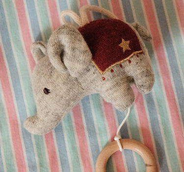 Elephant Activity Toy