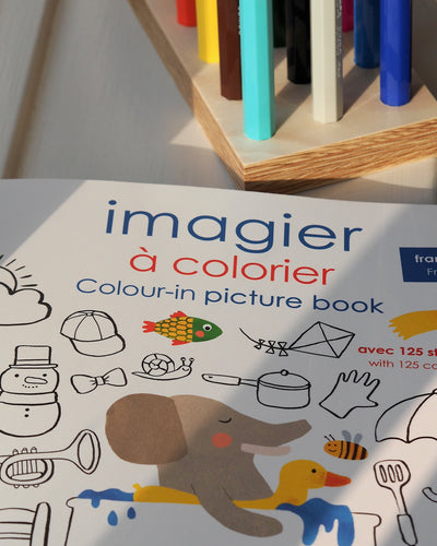 Colour-in Picture & Stickers Book