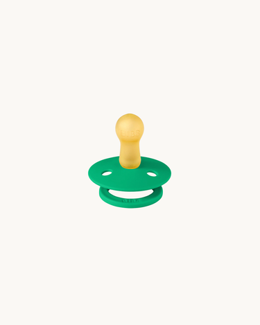 Colour Pacifier Cactus