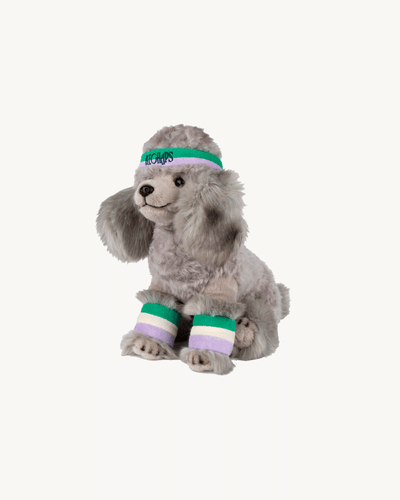 Puddelhunden 'Hyacinth the Poodle'