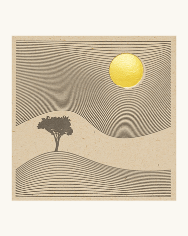 Matches One Tree Hill