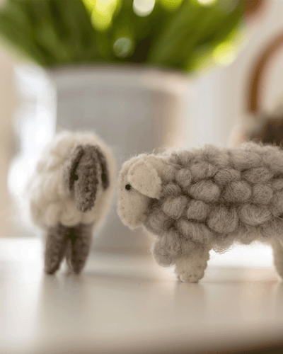 Little Wool Lambs