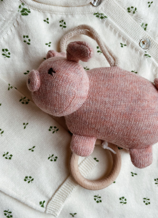 Pig Activity Toy