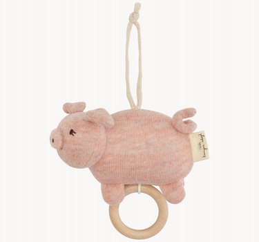 Pig Activity Toy