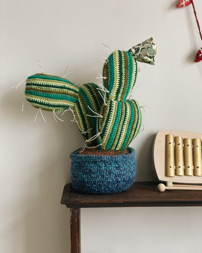 Knitted Cactus